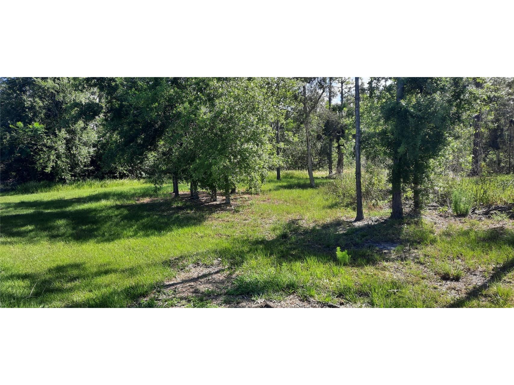 22 Lantana Drive N Indian Lake Estates FL 33855 - LAKE WALK-IN-WATER TB8385927 image6