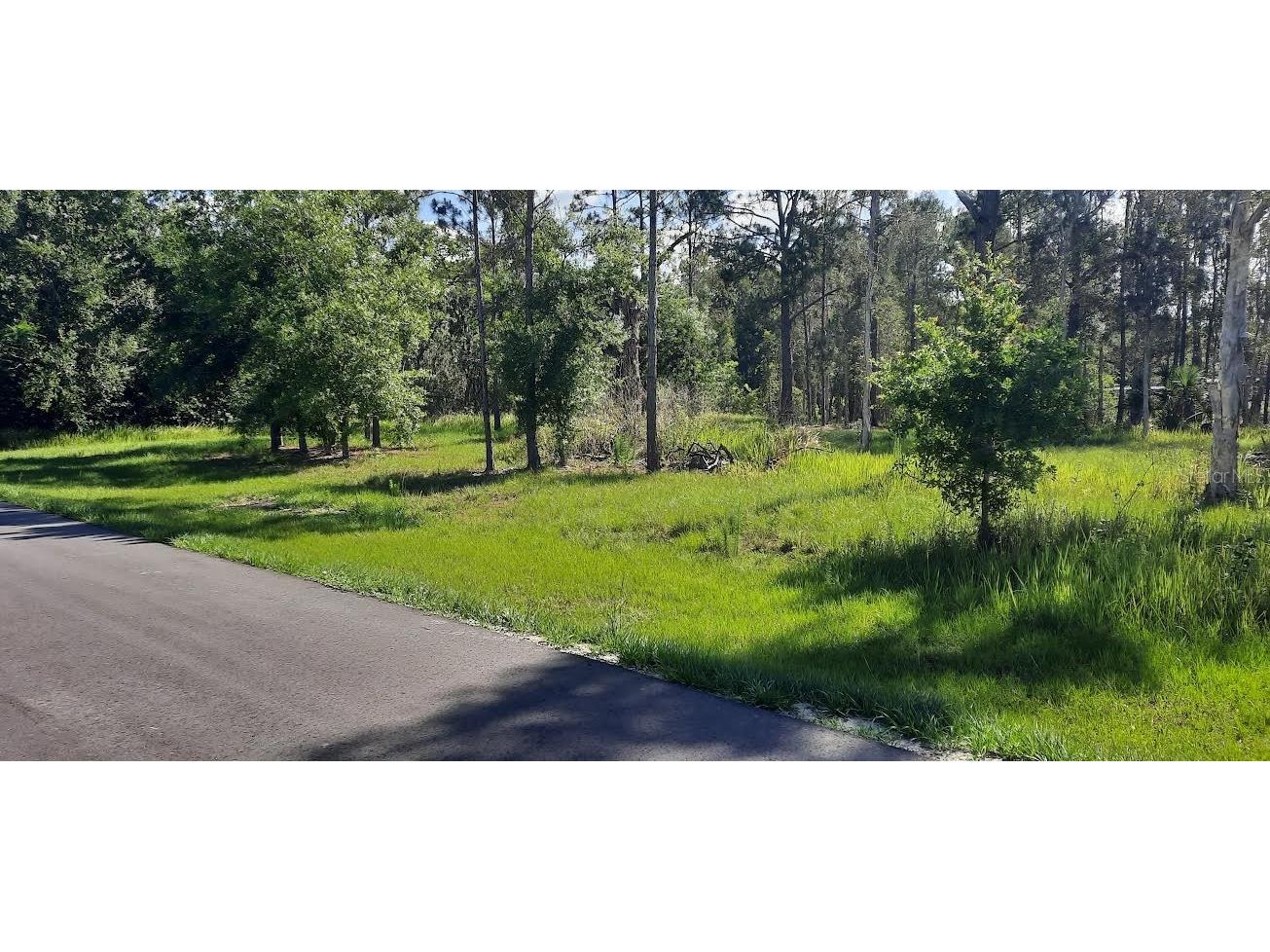 22 Lantana Drive N Indian Lake Estates FL 33855 - LAKE WALK-IN-WATER TB8385927 image7