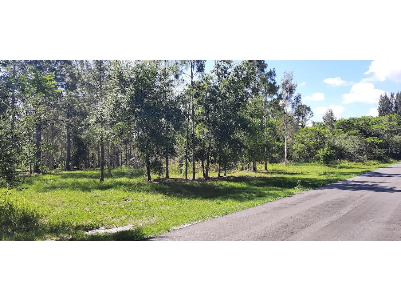 22 Lantana Drive N Indian Lake Estates FL 33855 - LAKE WALK-IN-WATER TB8385927 image8