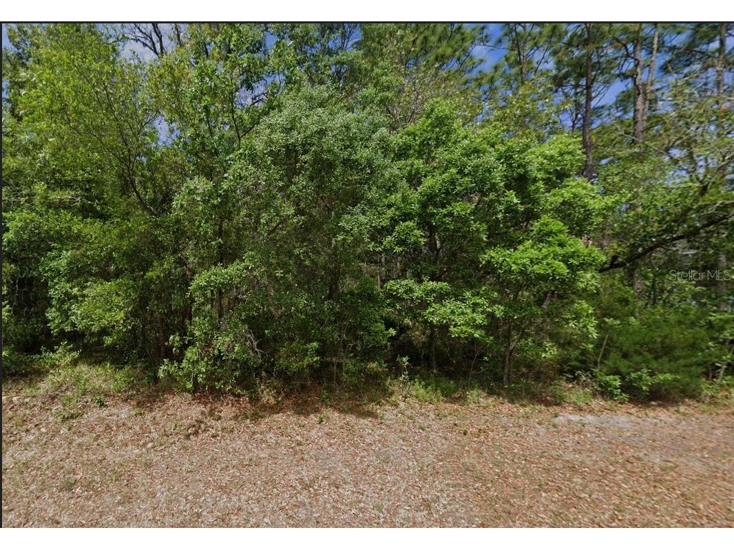 22 Lemington Court Homosassa FL 34446 TB8365379 image1