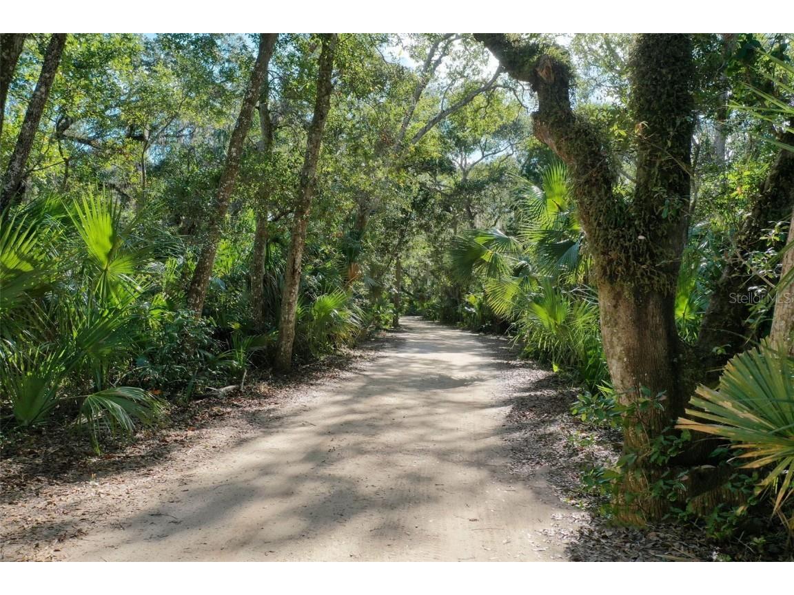 22 Los Lagos Boulevard Palm Coast FL 32137 FC307827 image100