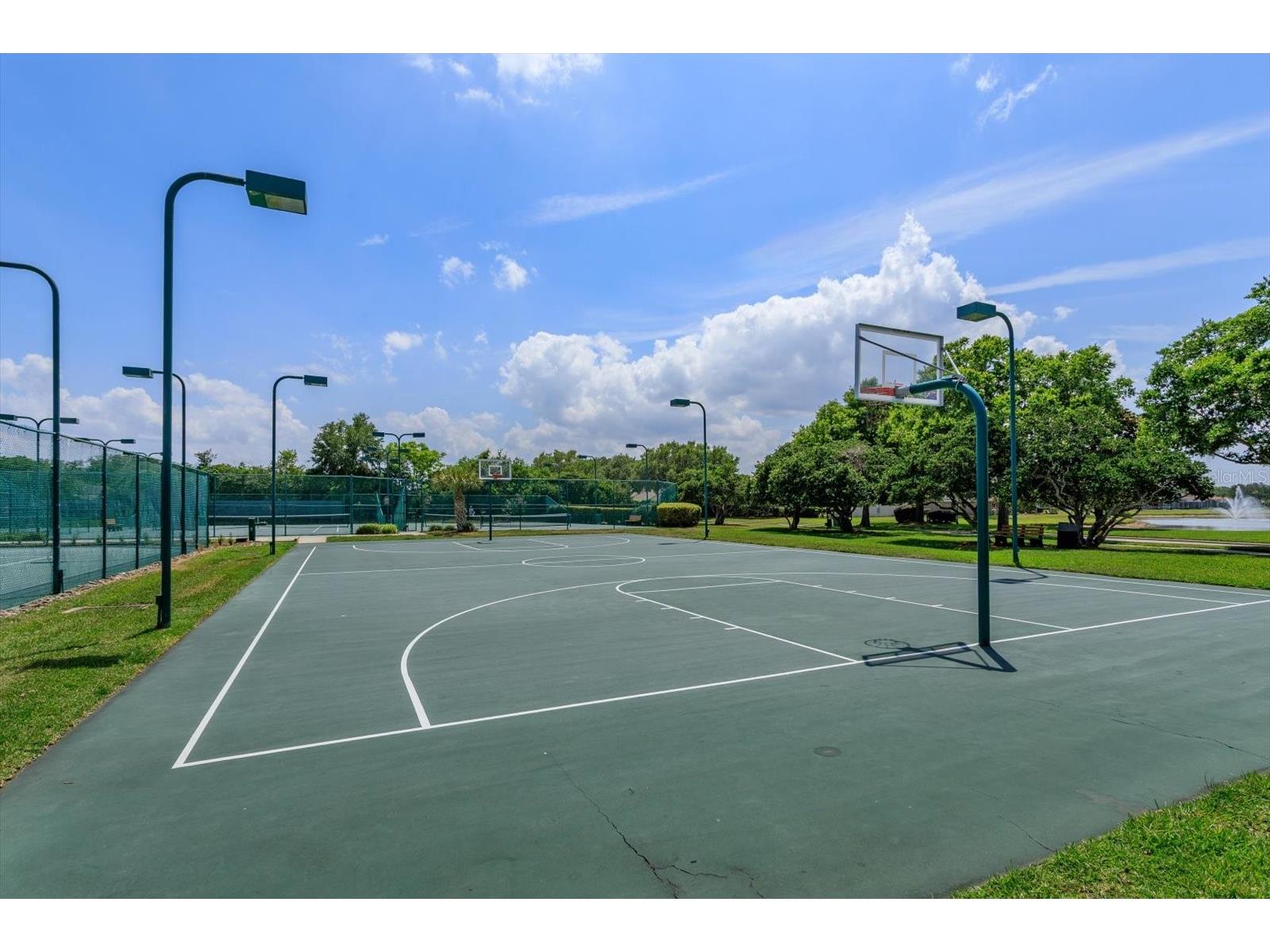 22 Moor Green Court Ocoee FL 34761 O6407381 image40