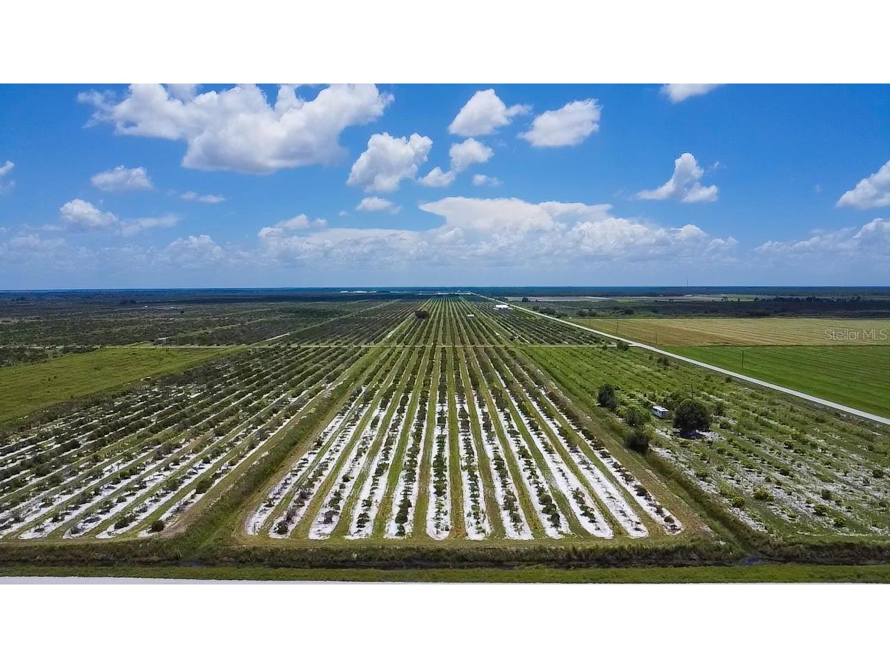 22-P15CD Neal/Graham Rd Punta Gorda FL 33982 A4618349 image1