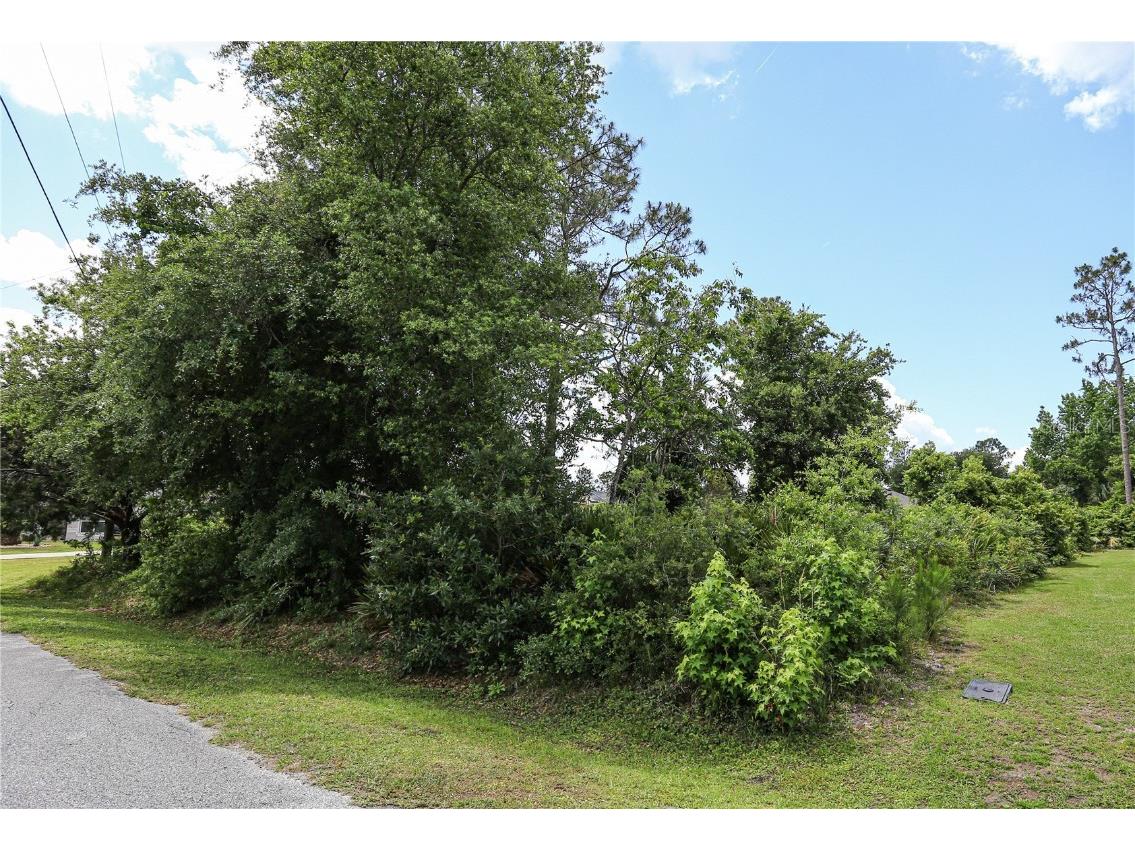 22 Pine Cottage Lane Palm Coast FL 32164 FC290895 image1