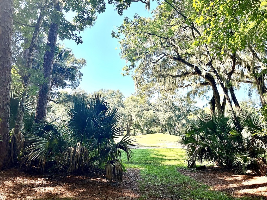 22 Pinehurst Place #22 Palm Coast FL 32137 O6244700 image22