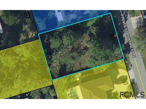 22 Princess Dolores Lane Palm Coast FL 32164 FC276560 image2