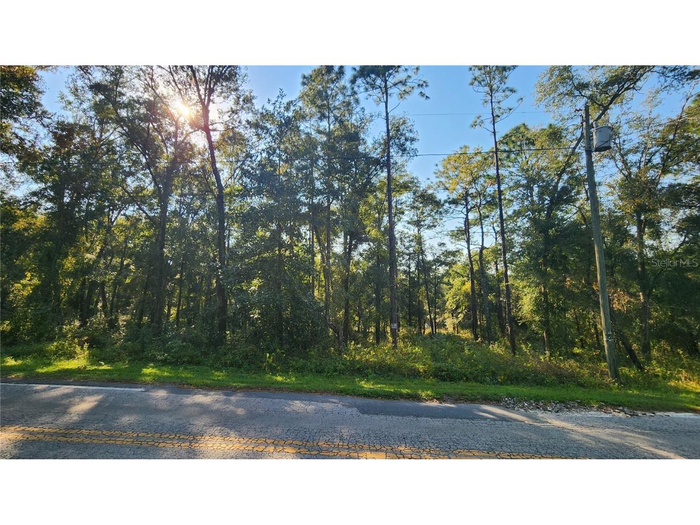 22 S Otis Avenue Lecanto FL 34461 OM687974 image1