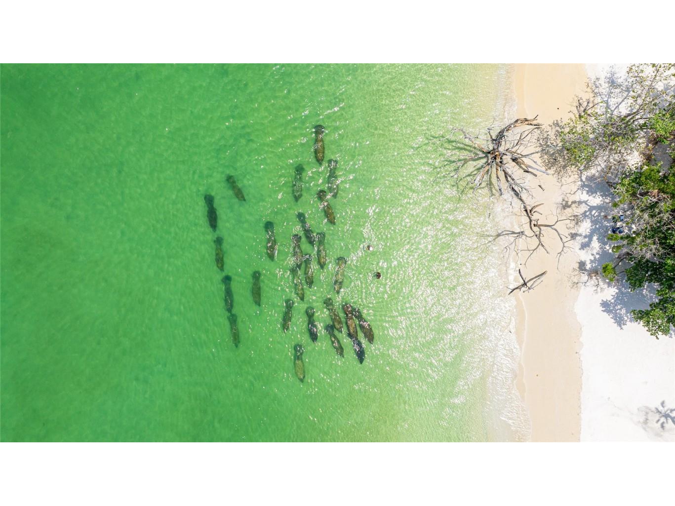 22 Sandy Cove Road #APT 10-5 Sarasota FL 34242 A4658557 image27