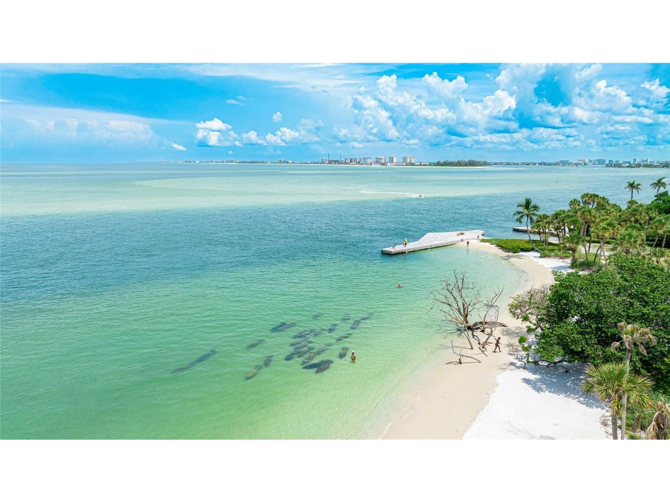 22 Sandy Cove Road #APT 10-5 Sarasota FL 34242 A4658557 image28