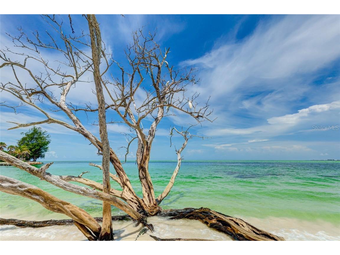 22 Sandy Cove Road #APT 10-5 Sarasota FL 34242 A4658557 image31