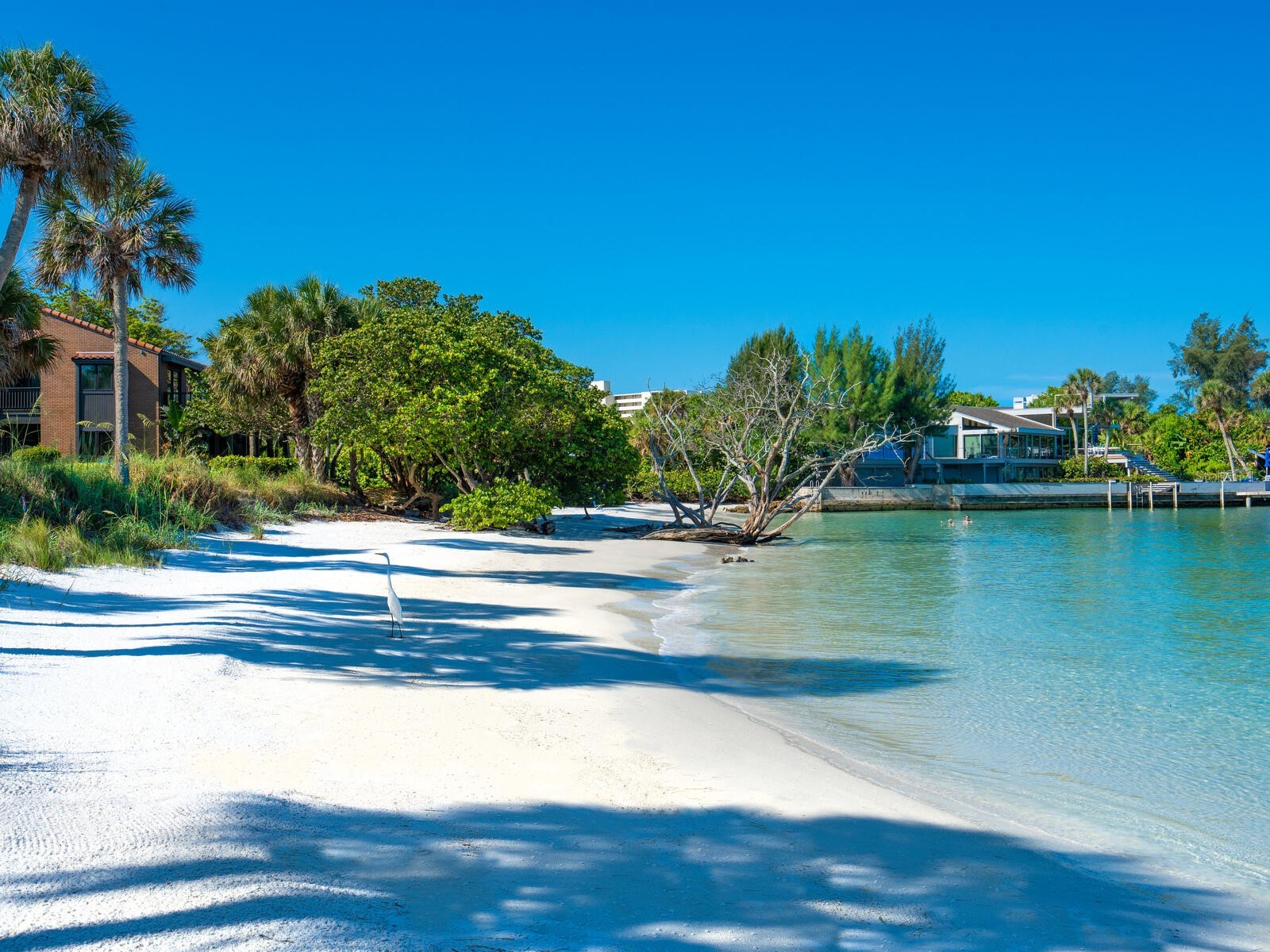 22 Sandy Cove Road #APT 203 Sarasota FL 34242 - GULF OF MEXICO A4691011 image27