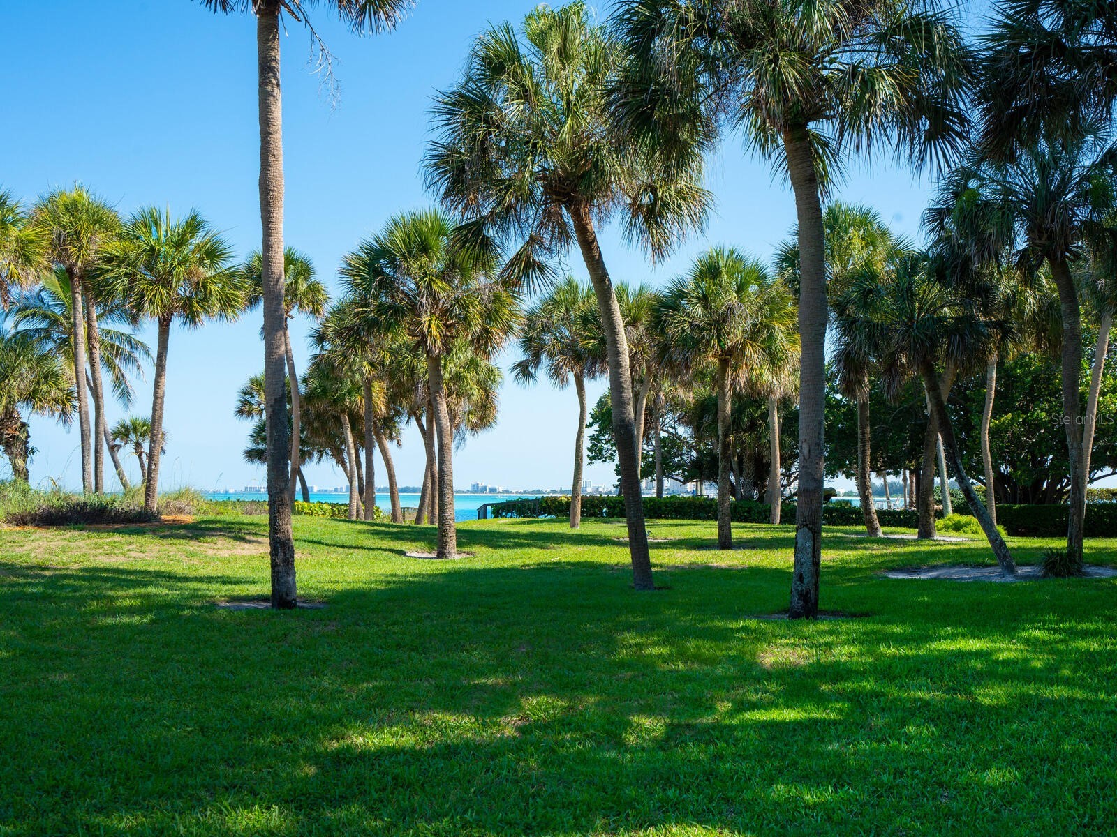 22 Sandy Cove Road #APT 203 Sarasota FL 34242 - GULF OF MEXICO A4691011 image29