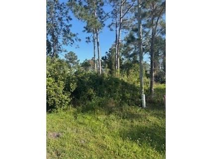 22 Seamanship Trail Palm Coast FL 32164 FC308817 image1