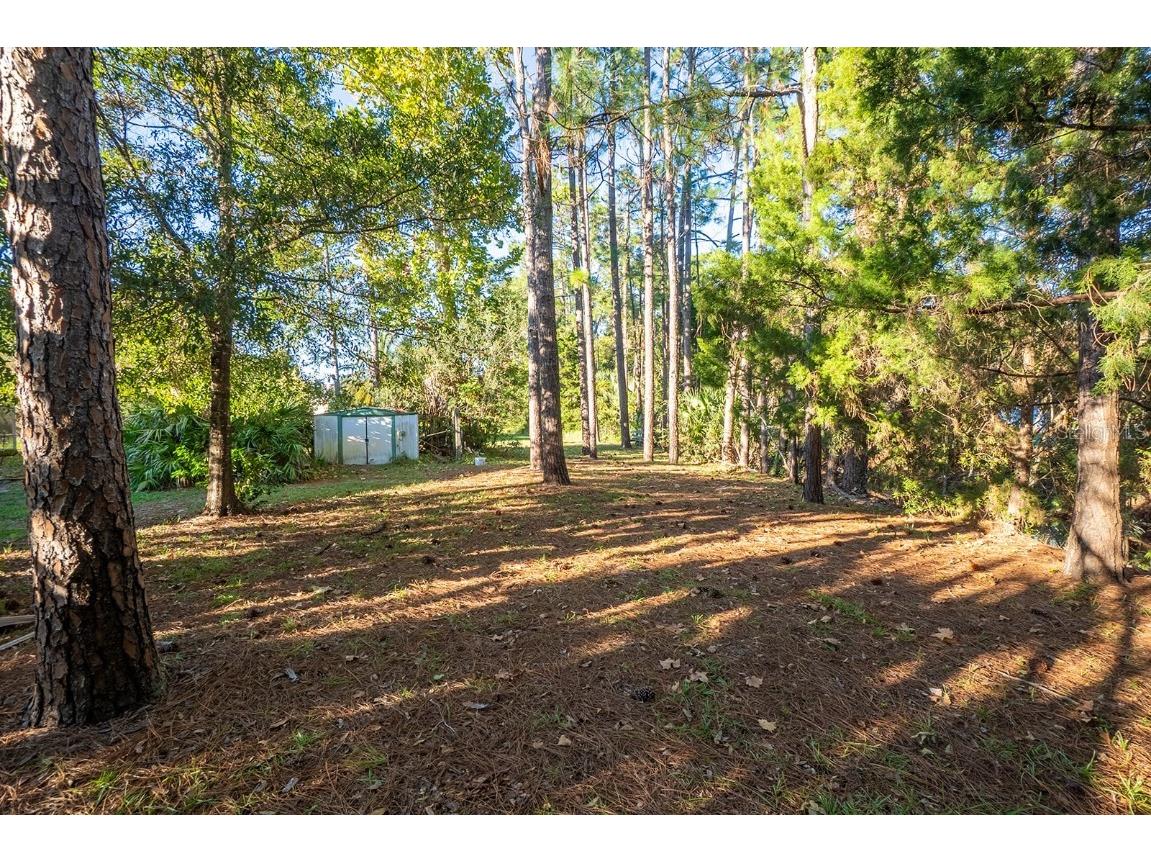 22 Whispering Pine Drive Palm Coast FL 32164 FC314064 image43