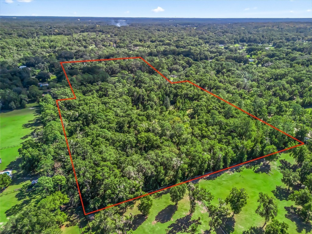 22 Wood Ridge Drive Ocala FL 34482 OM712761 image63