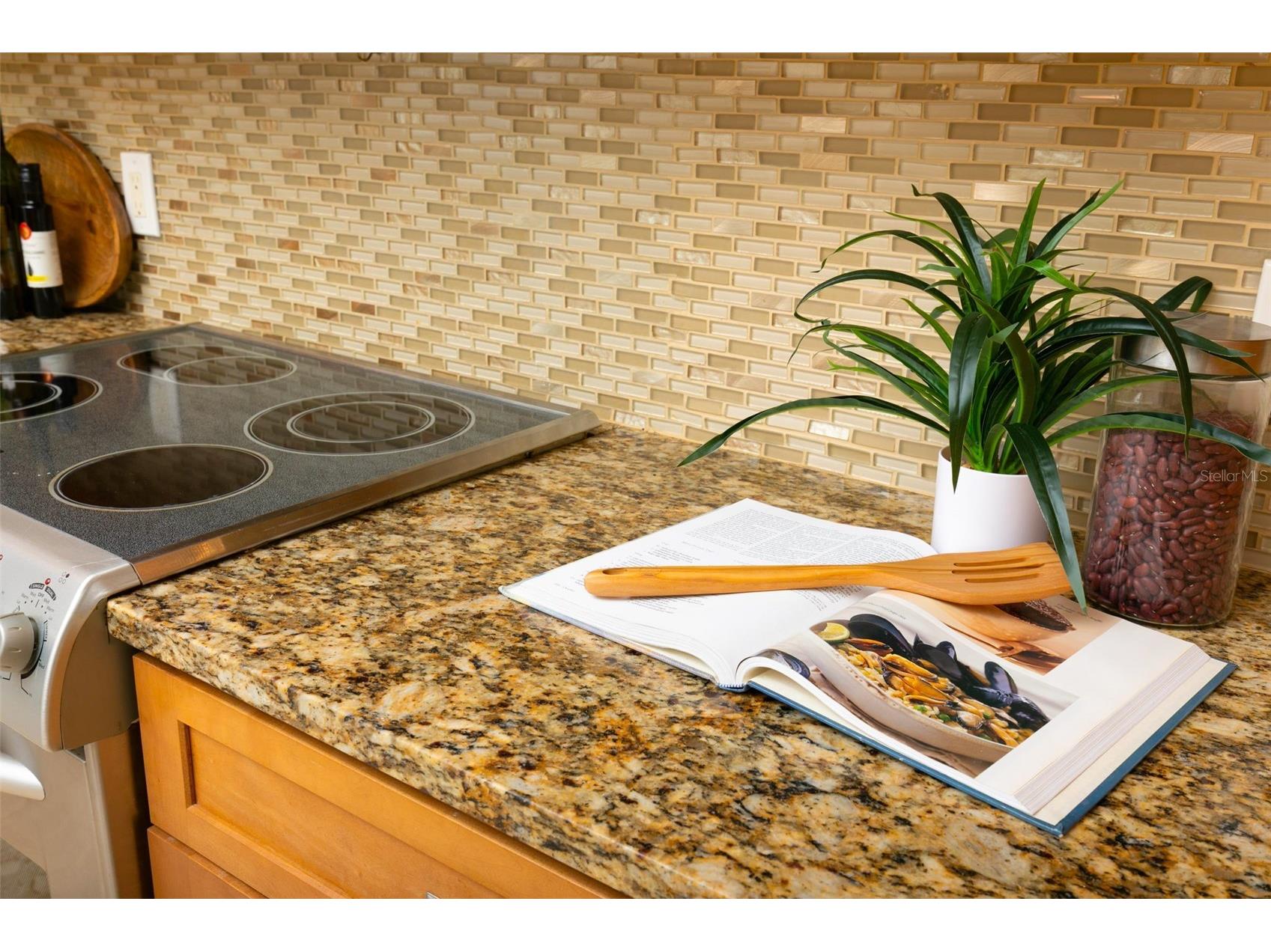 220 108th Avenue #304 Treasure Island FL 33706 TB8474500 image29