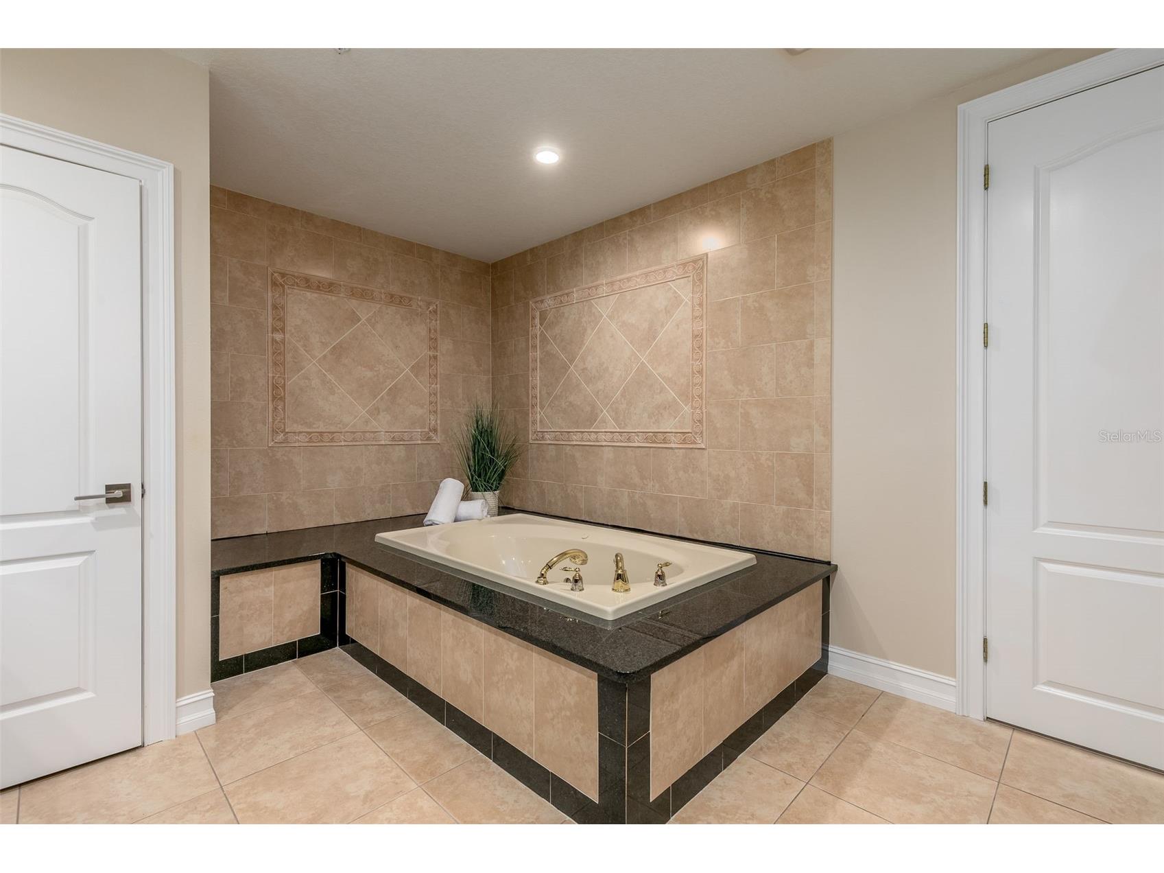 220 108th Avenue #304 Treasure Island FL 33706 TB8474500 image44