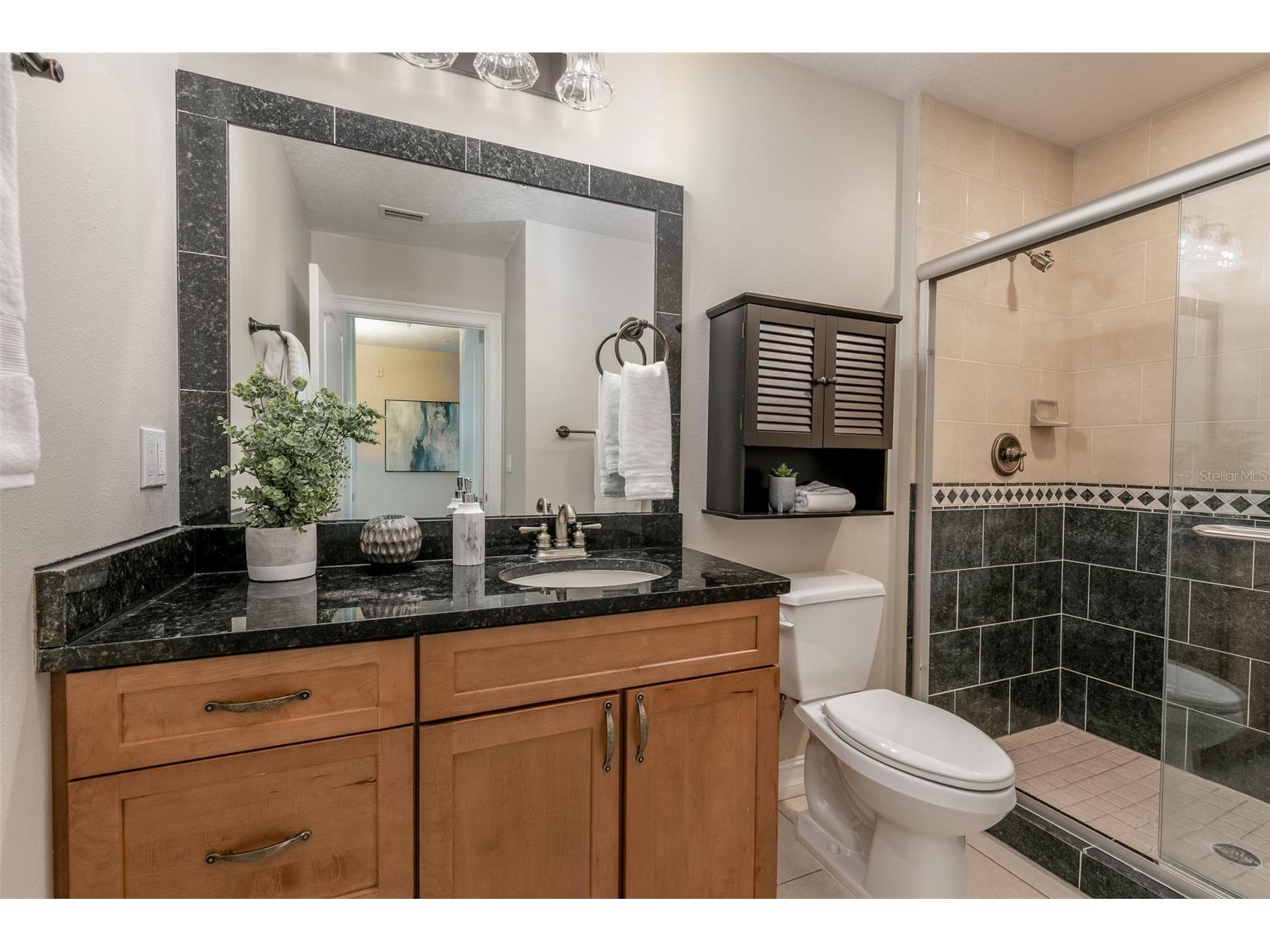 220 108th Avenue #304 Treasure Island FL 33706 TB8474500 image66