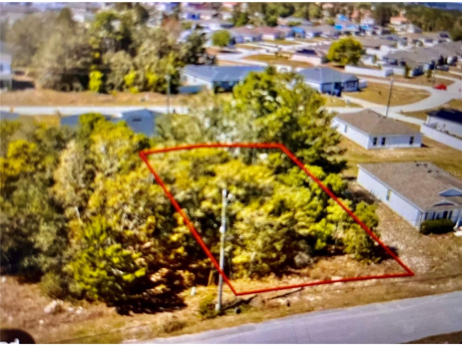 220 Begonia Place Kissimmee FL 34759 S5150221 image2