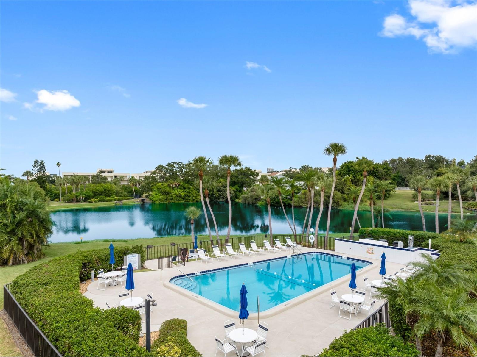 220 Belleview Boulevard #108 Belleair FL 33756 - HAROLD'S LAKE TB8505943 image28