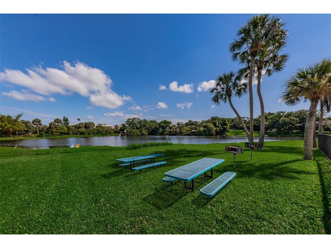 220 Belleview Boulevard #305 Belleair FL 33756 - INTERCOASTAL GULF LAKE HAROL TB8439750 image29