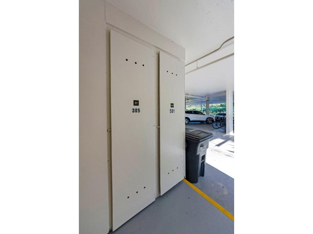 220 Belleview Boulevard #305 Belleair FL 33756 - INTERCOASTAL GULF LAKE HAROL TB8439750 image40