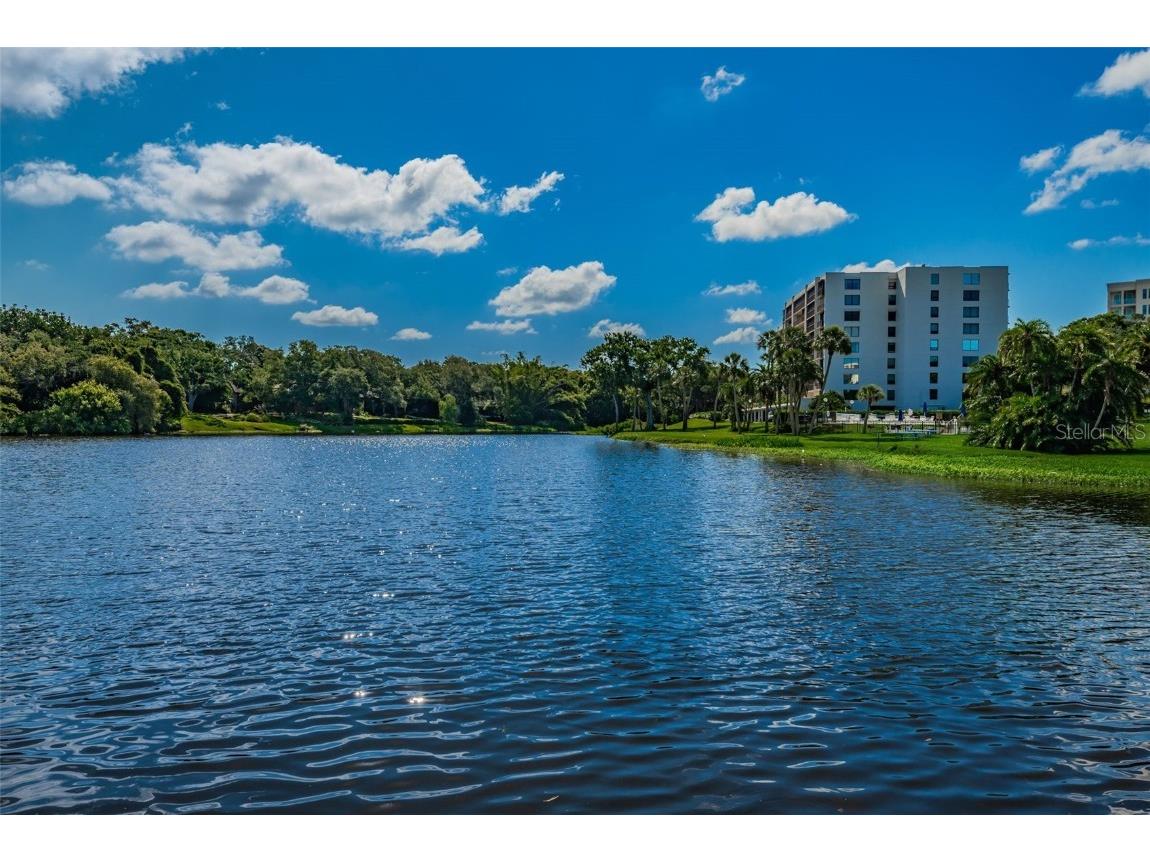 220 Belleview Boulevard #305 Belleair FL 33756 - INTERCOASTAL GULF LAKE HAROL TB8439750 image44
