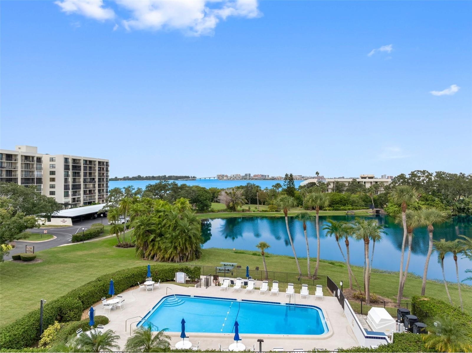 220 Belleview Boulevard #310 Belleair FL 33756 - HAROLD'S LAKE TB8480473 image1