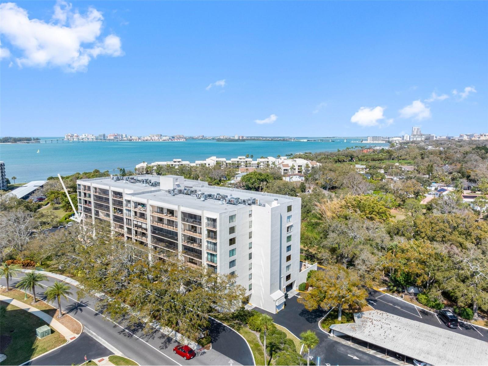 220 Belleview Boulevard #310 Belleair FL 33756 - HAROLD'S LAKE TB8480473 image2