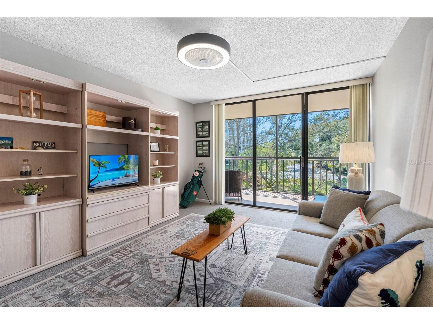 220 Belleview Boulevard #310 Belleair FL 33756 - HAROLD'S LAKE TB8480473 image22