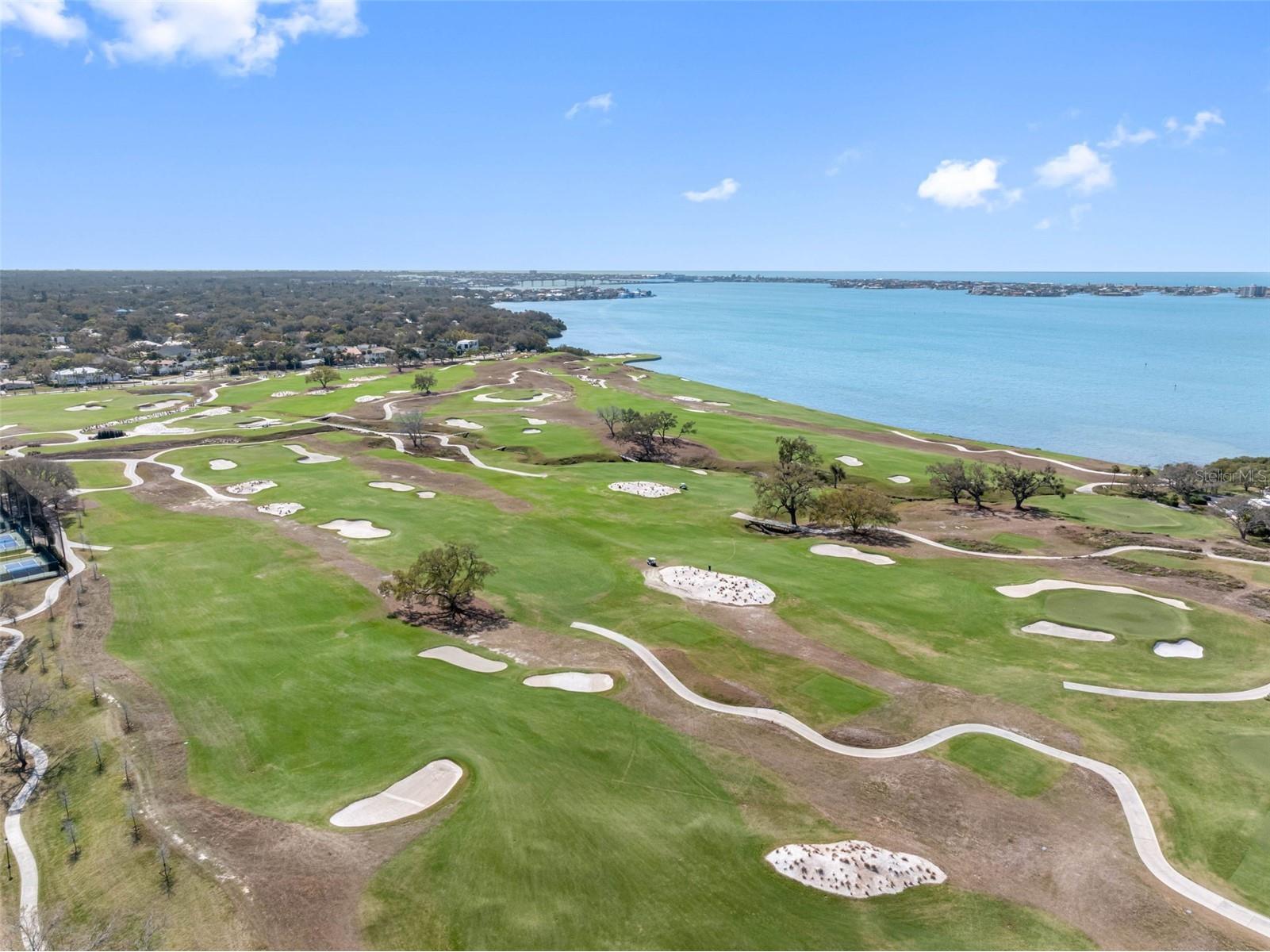 220 Belleview Boulevard #310 Belleair FL 33756 - HAROLD'S LAKE TB8480473 image38