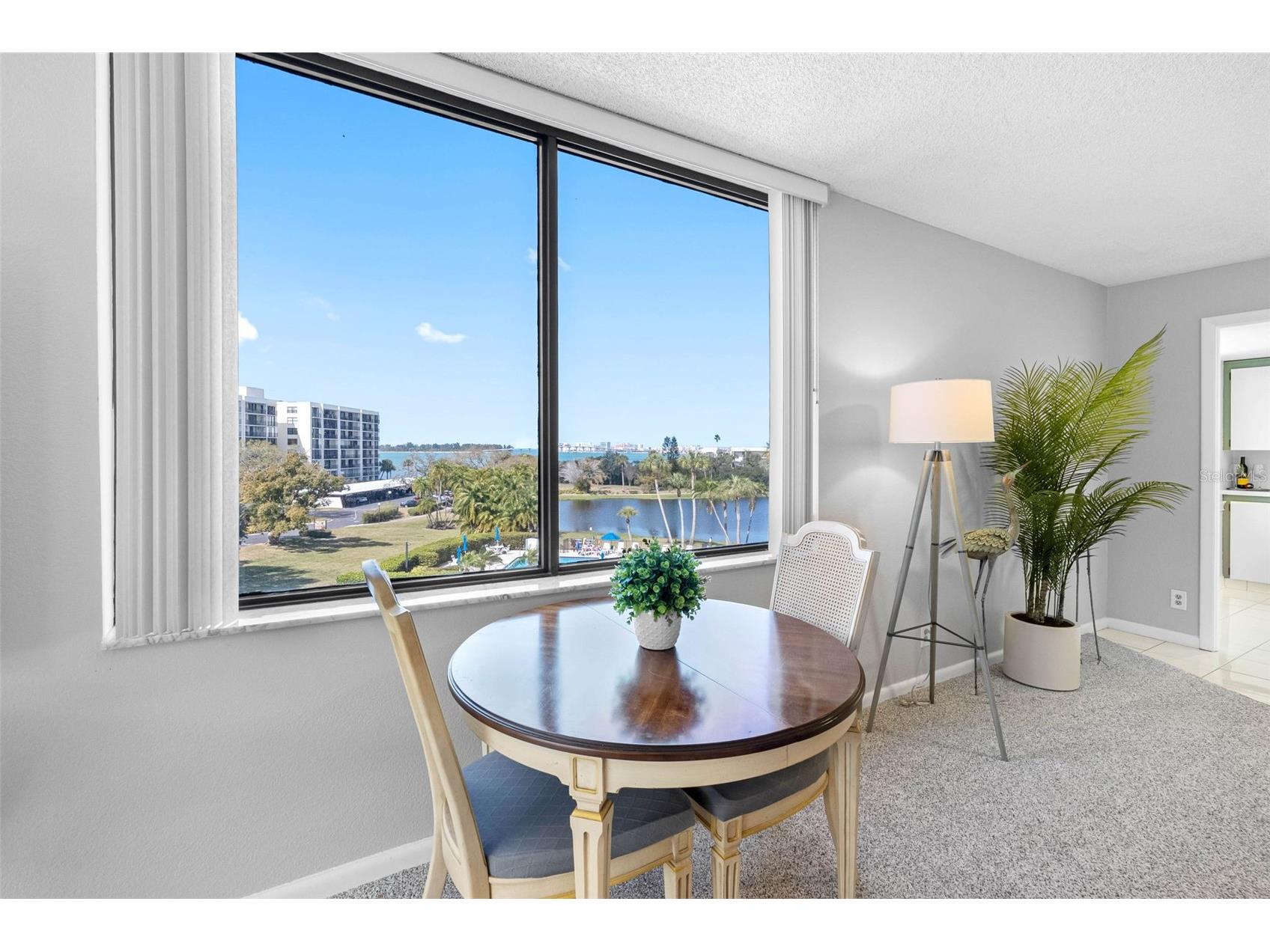 220 Belleview Boulevard #310 Belleair FL 33756 - HAROLD'S LAKE TB8480473 image5