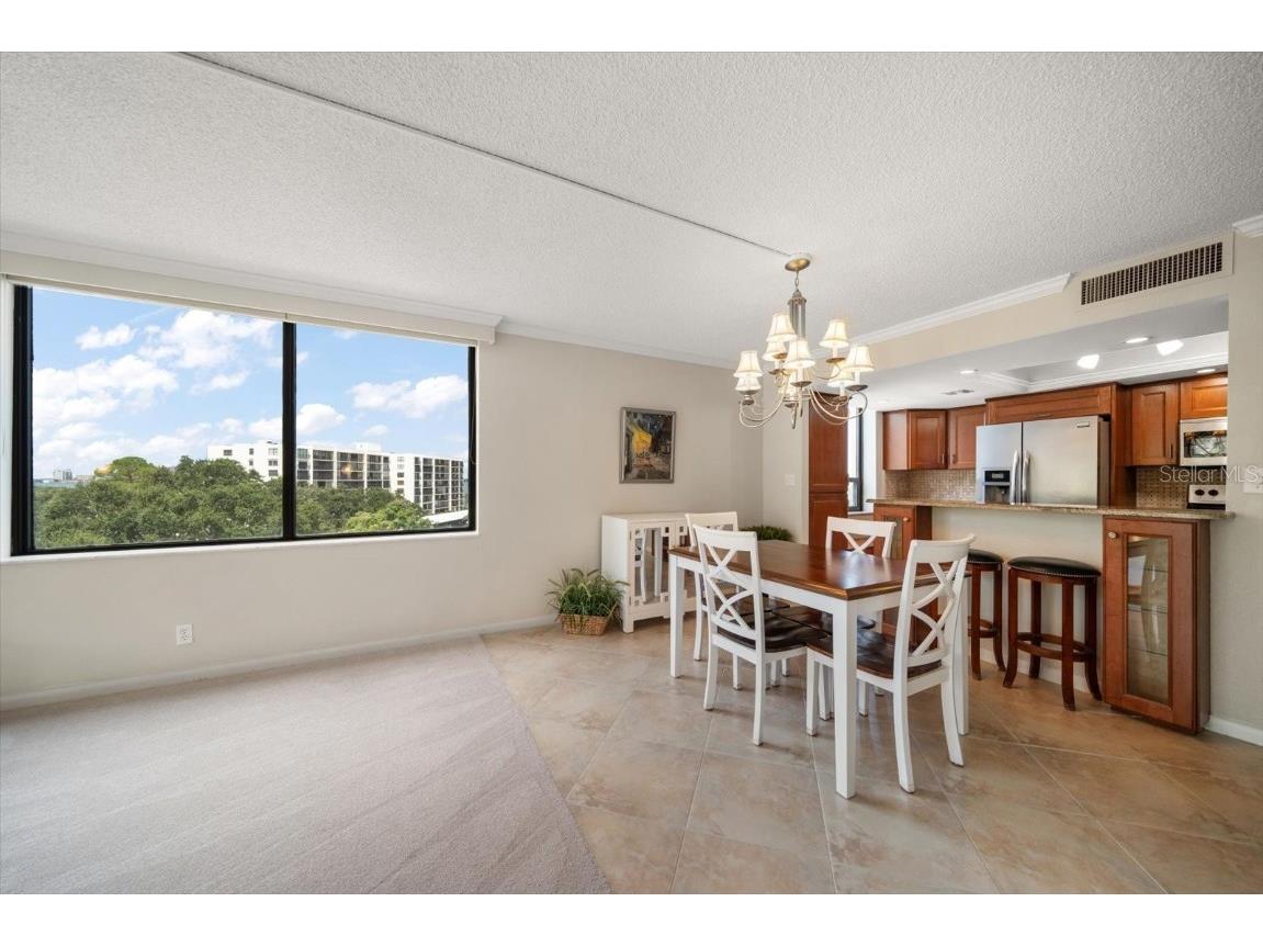 220 Belleview Boulevard #410 Belleair FL 33756 - INTRACOASTAL HAROLD'S LAKE TB8412782 image11