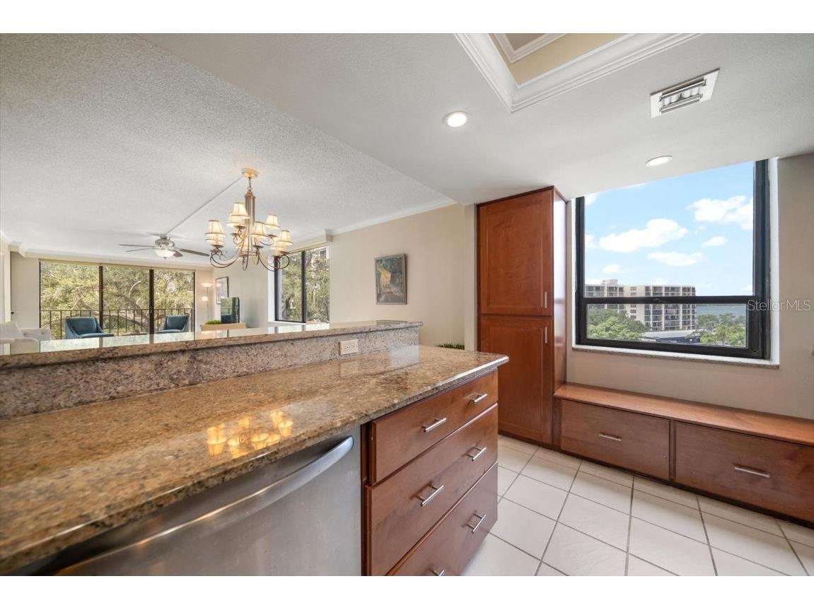 220 Belleview Boulevard #410 Belleair FL 33756 - INTRACOASTAL HAROLD'S LAKE TB8412782 image18