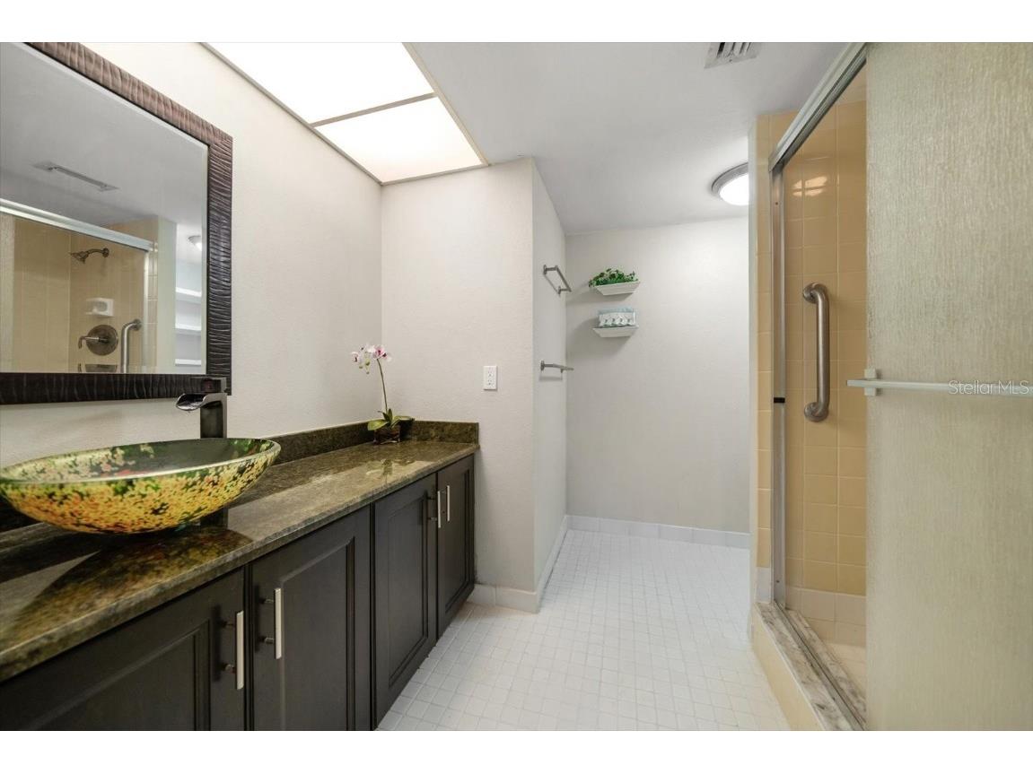 220 Belleview Boulevard #410 Belleair FL 33756 - INTRACOASTAL HAROLD'S LAKE TB8412782 image24