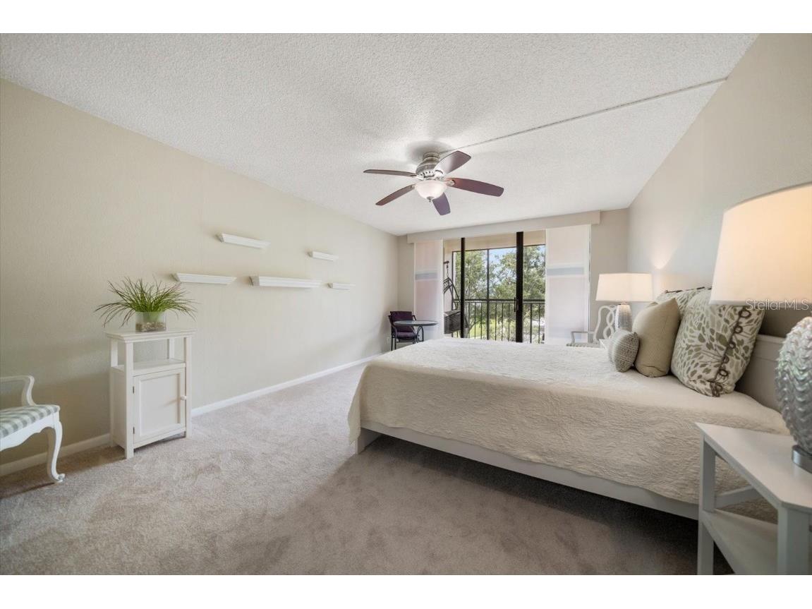 220 Belleview Boulevard #410 Belleair FL 33756 - INTRACOASTAL HAROLD'S LAKE TB8412782 image27