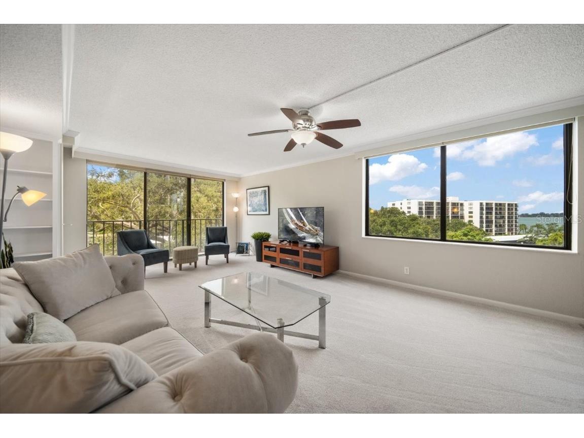 220 Belleview Boulevard #410 Belleair FL 33756 - INTRACOASTAL HAROLD'S LAKE TB8412782 image3