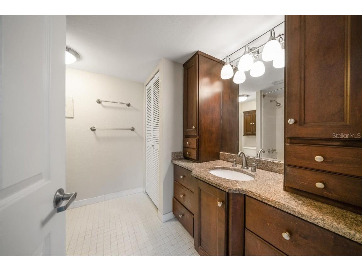 220 Belleview Boulevard #410 Belleair FL 33756 - INTRACOASTAL HAROLD'S LAKE TB8412782 image31