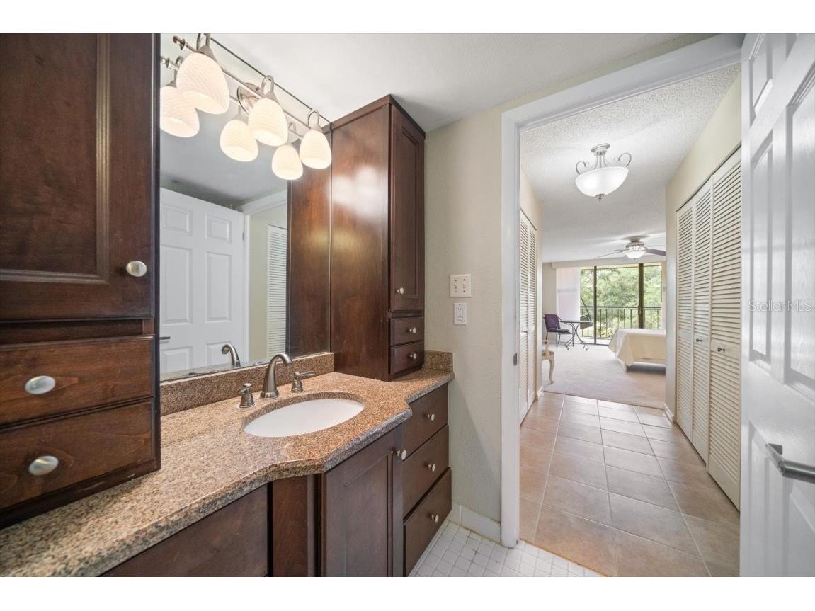 220 Belleview Boulevard #410 Belleair FL 33756 - INTRACOASTAL HAROLD'S LAKE TB8412782 image33