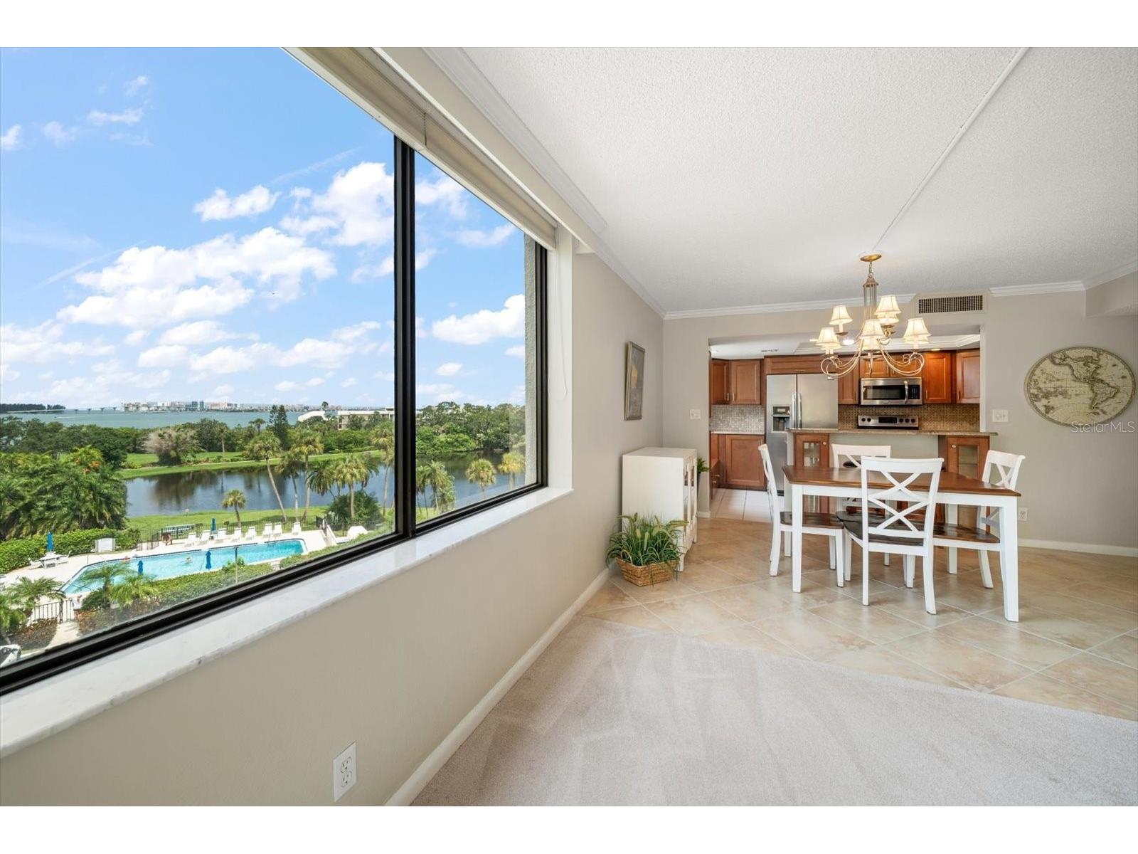 220 Belleview Boulevard #410 Belleair FL 33756 - INTRACOASTAL HAROLD'S LAKE TB8509544 image13