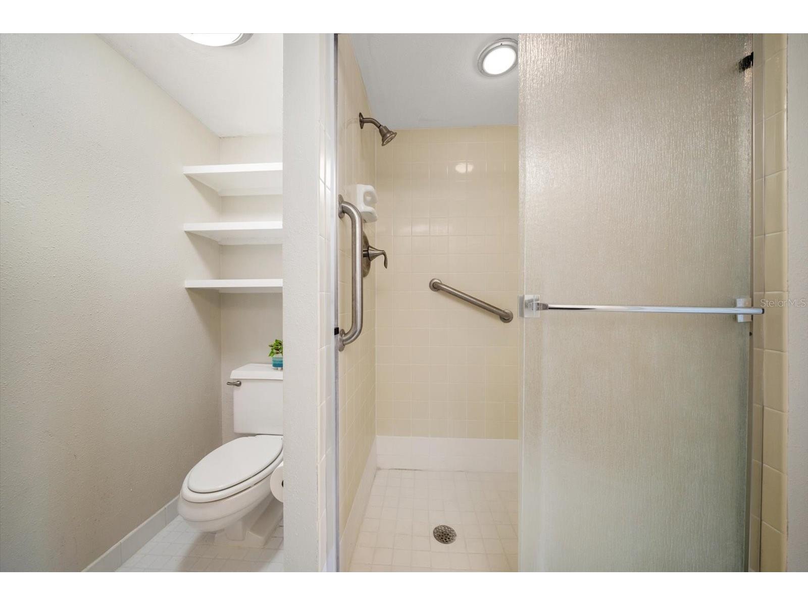 220 Belleview Boulevard #410 Belleair FL 33756 - INTRACOASTAL HAROLD'S LAKE TB8509544 image25