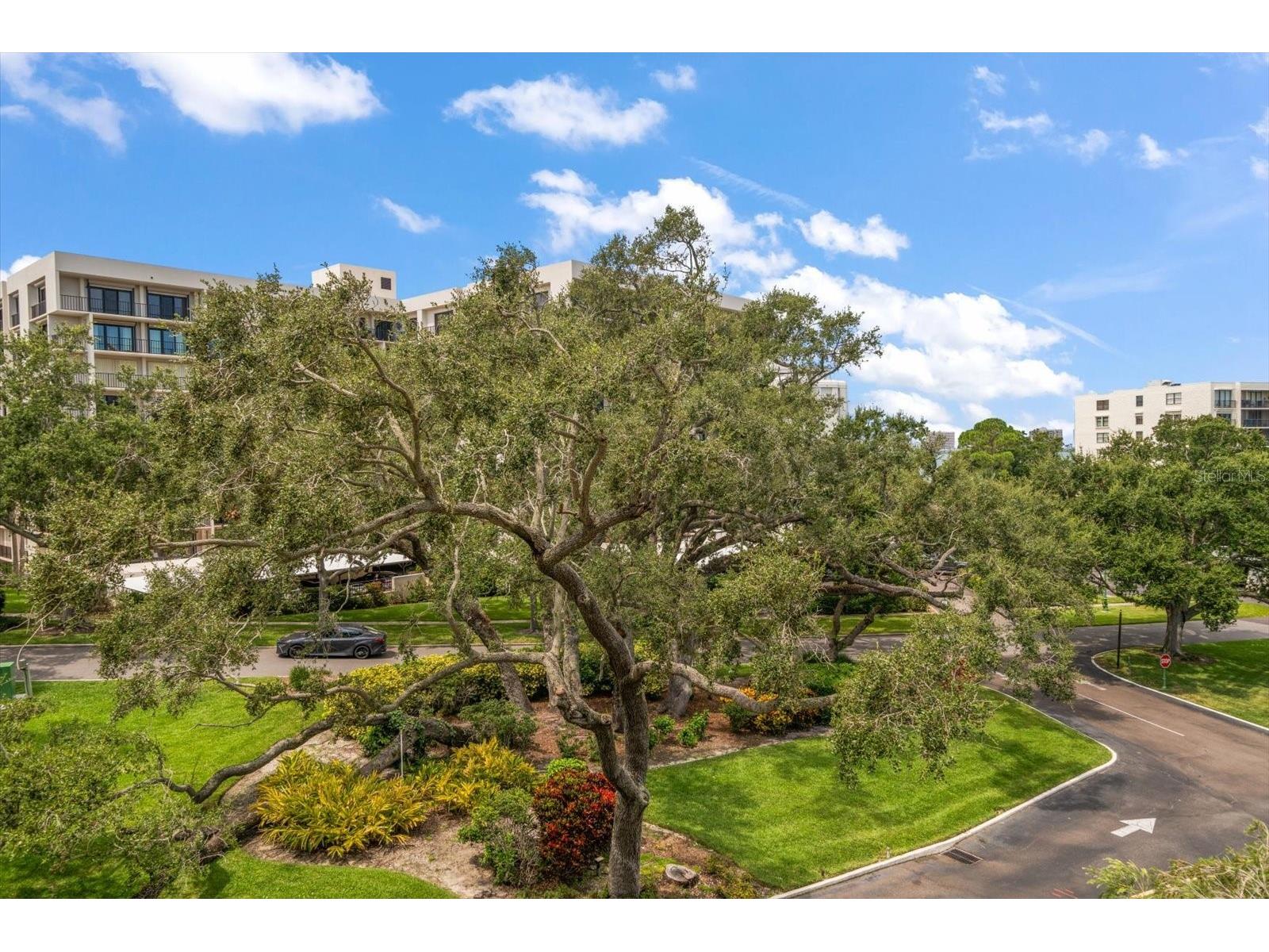 220 Belleview Boulevard #410 Belleair FL 33756 - INTRACOASTAL HAROLD'S LAKE TB8509544 image38