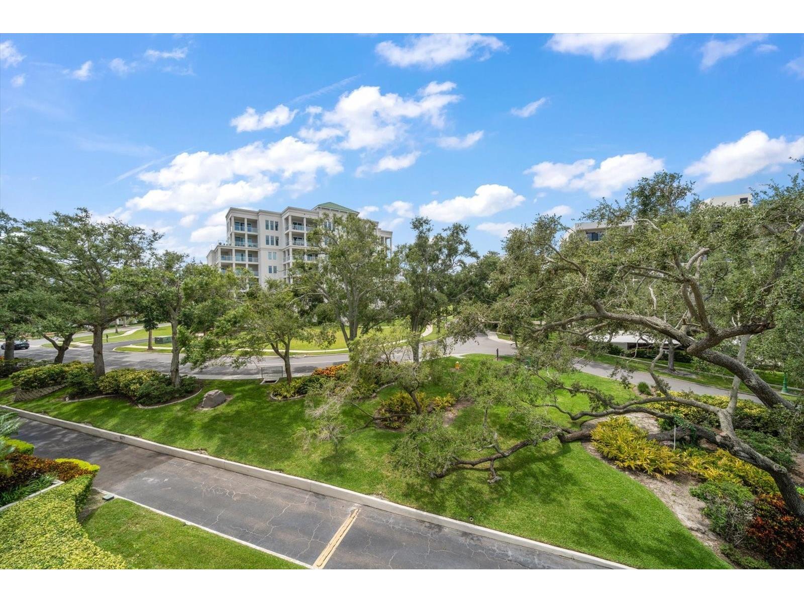 220 Belleview Boulevard #410 Belleair FL 33756 - INTRACOASTAL HAROLD'S LAKE TB8509544 image41