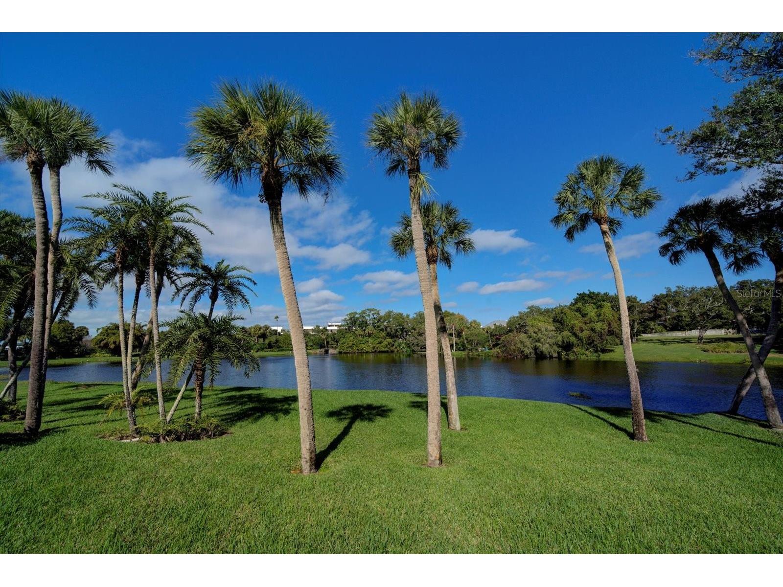 220 Belleview Boulevard #410 Belleair FL 33756 - INTRACOASTAL HAROLD'S LAKE TB8509544 image51