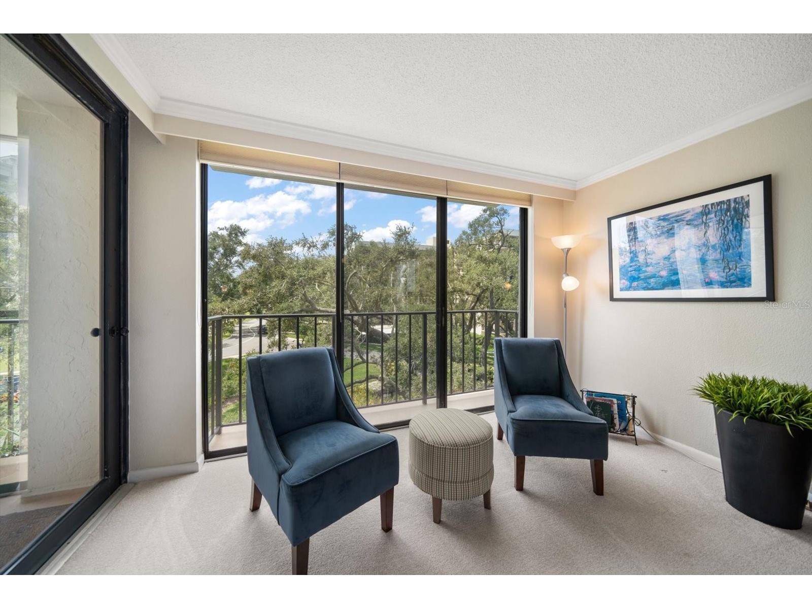 220 Belleview Boulevard #410 Belleair FL 33756 - INTRACOASTAL HAROLD'S LAKE TB8509544 image6