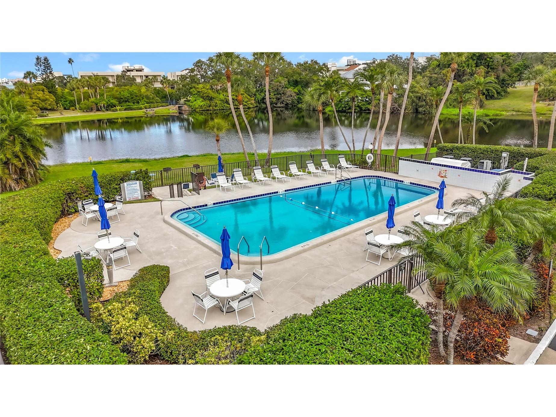 220 Belleview Boulevard #412 Belleair FL 33756 TB8455742 image40