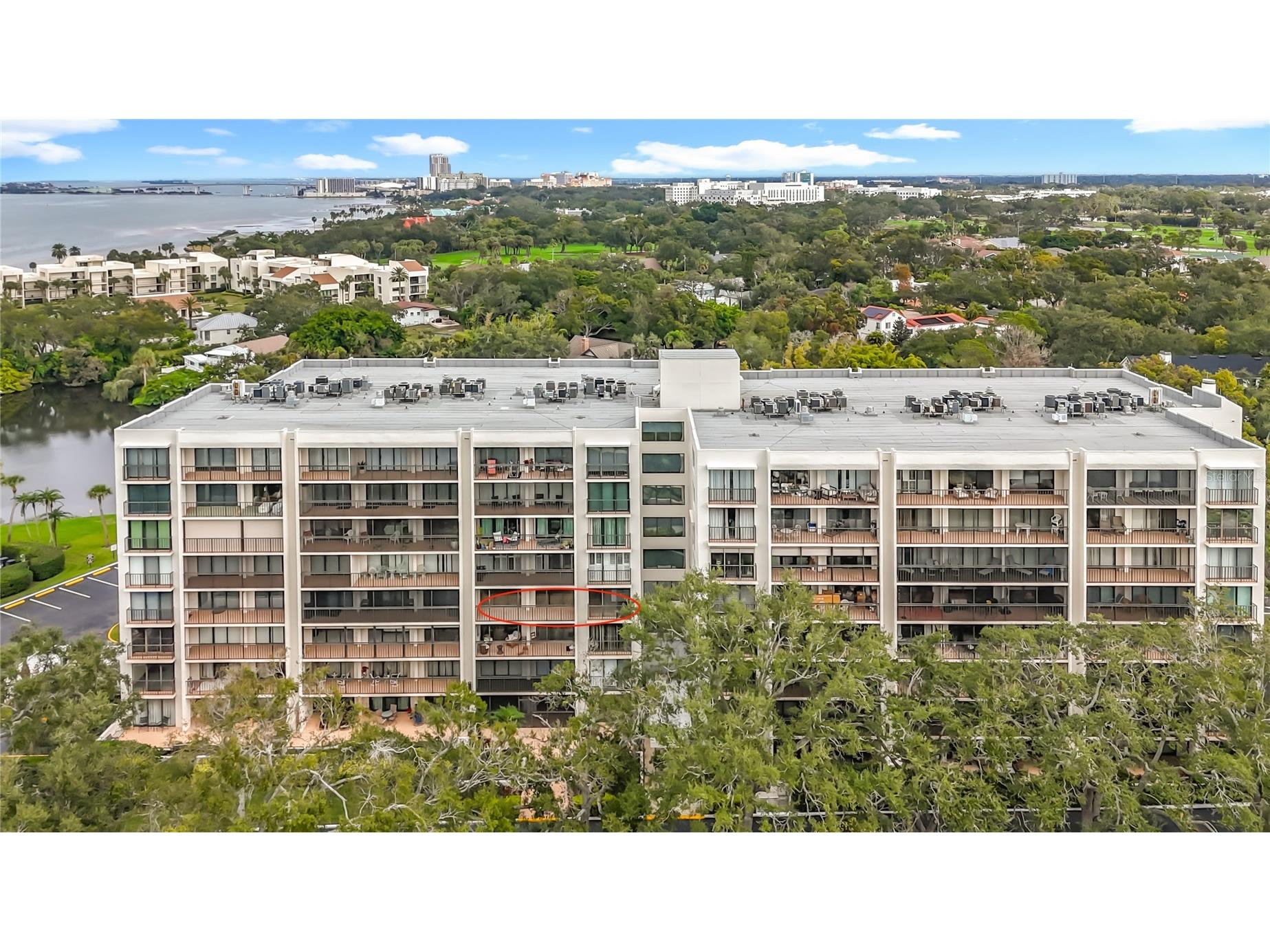 220 Belleview Boulevard #412 Belleair FL 33756 TB8455742 image47