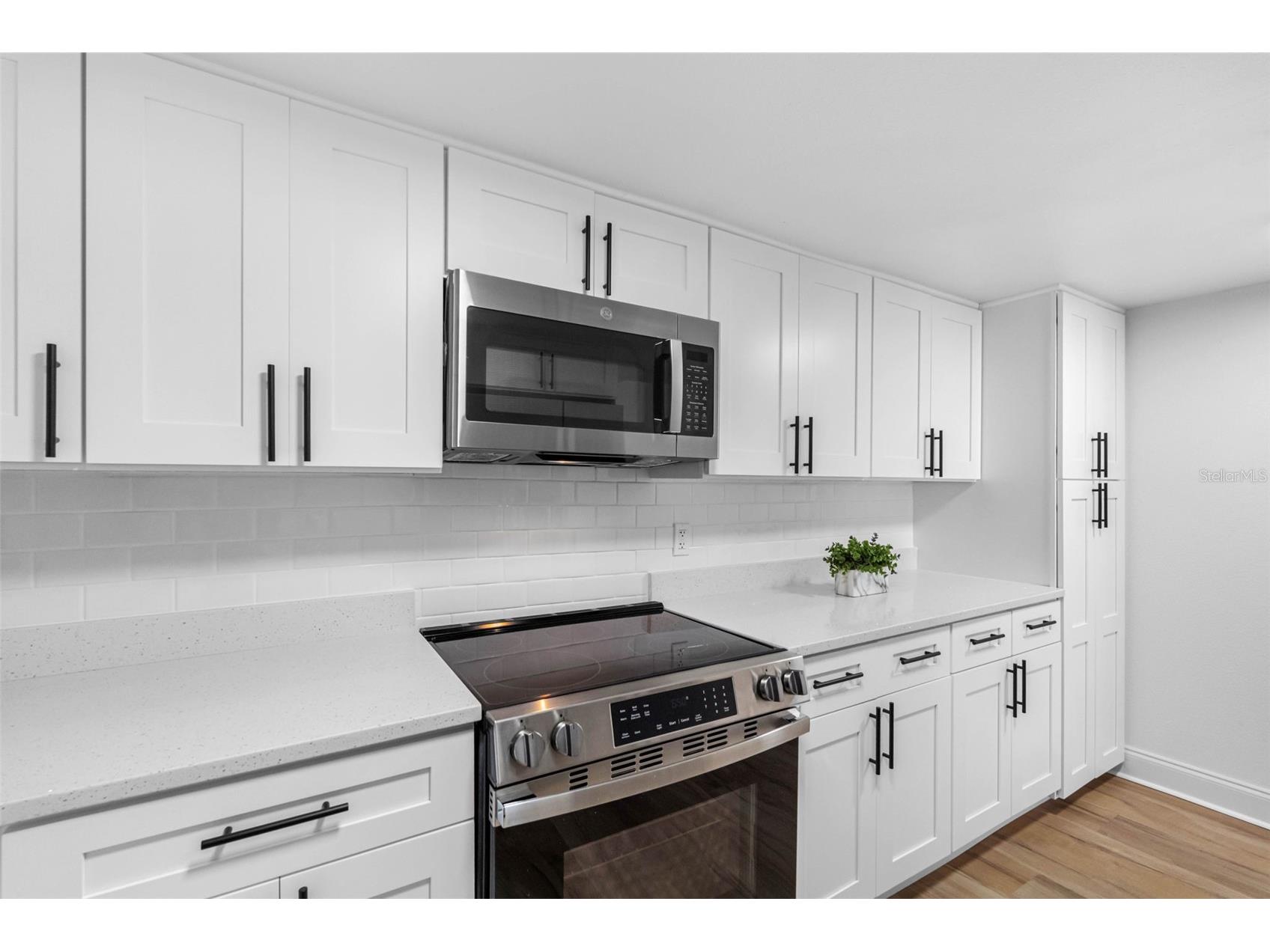 220 Belleview Boulevard #412 Belleair FL 33756 - HAROLD'S LAKE TB8525977 image14