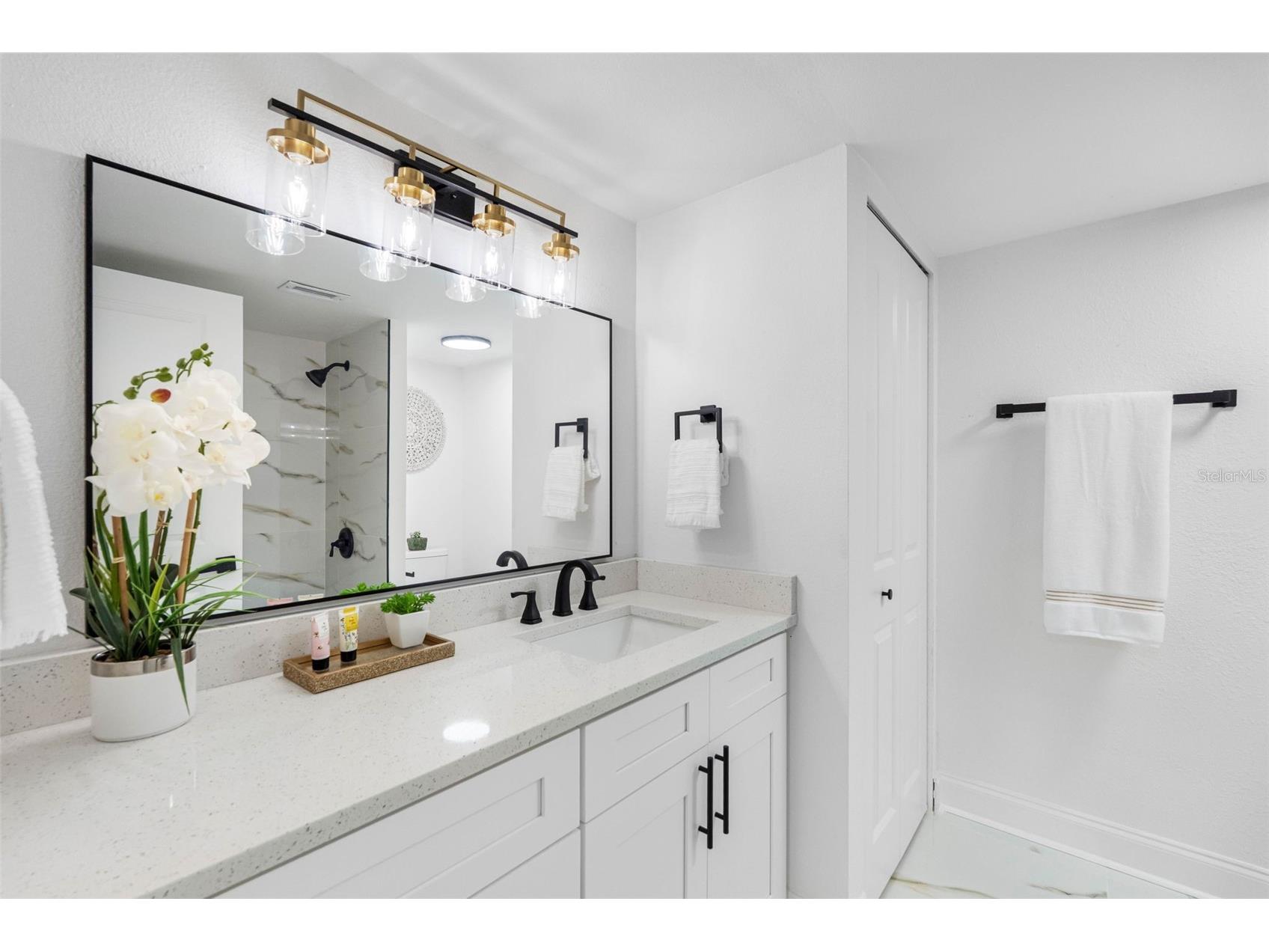 220 Belleview Boulevard #412 Belleair FL 33756 - HAROLD'S LAKE TB8525977 image20