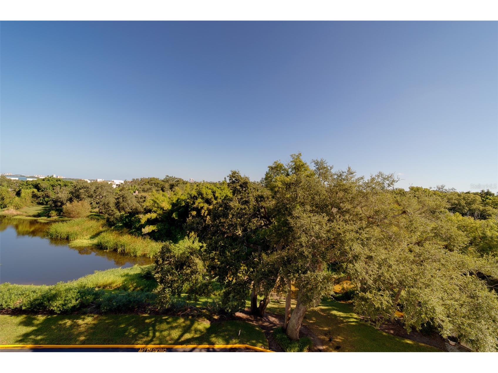 220 Belleview Boulevard #504 Belleair FL 33756 TB8440309 image39